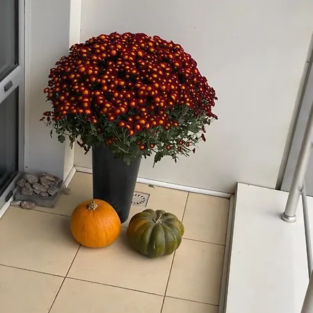 апартементи на французькому бульвару Lejlighed