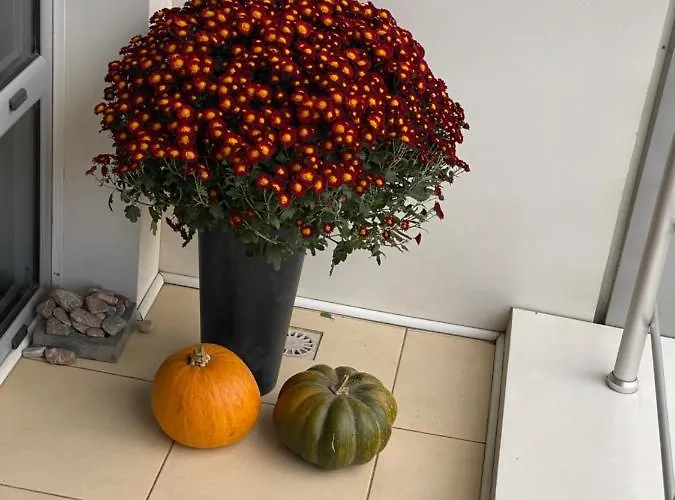 апартементи на французькому бульвару Lejlighed